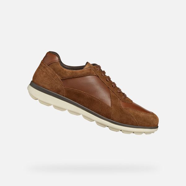 GEOX Brown men's sneakers Geox Spherica Ec12 - Men's