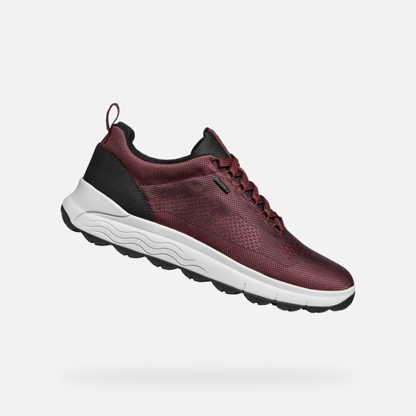 GEOX Burgundy men's sneakers Geox Spherica 4x4 B Abx - Men's