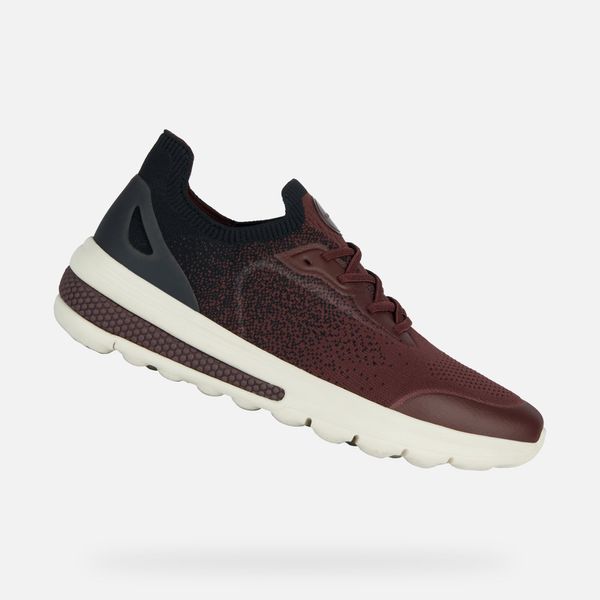 GEOX Burgundy men's sneakers Geox Spherica Actif - Men's