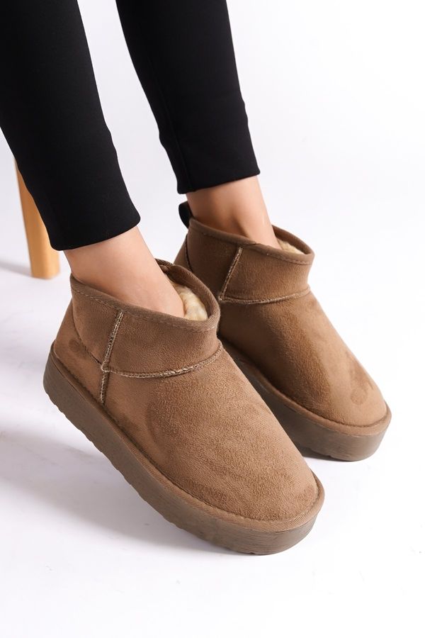 Capone Outfitters Capone Outfitters Women's Short Boots With A Thick Sole, Round Toe And Shearling.