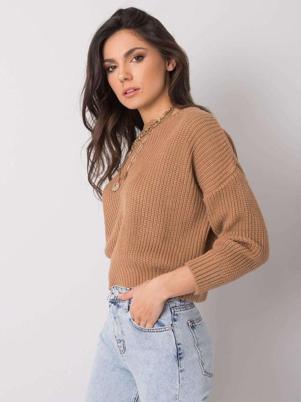 Fashionhunters Classic brown sweater Claudette RUE PARIS