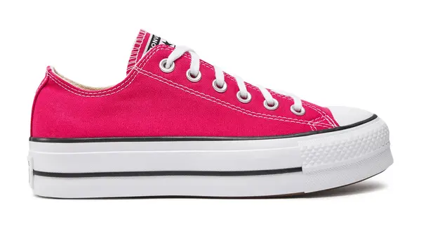 Converse Converse Chuck Taylor All Star Canvas Platform Pink