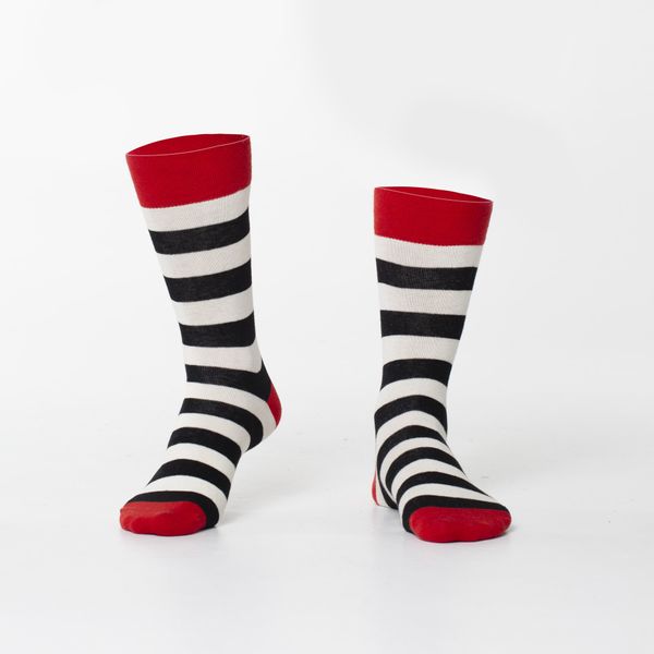 FASARDI Creamy black striped men's socks