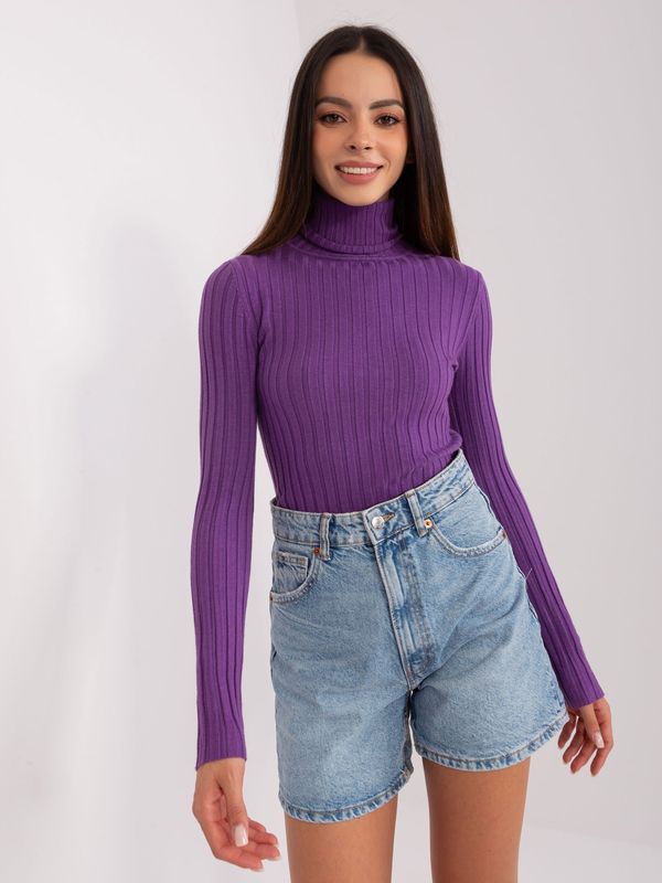 Fashionhunters Dark purple fitted turtleneck sweater