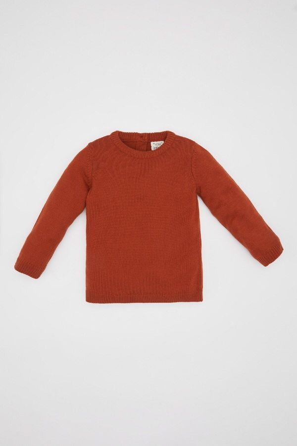 DEFACTO DEFACTO Baby Boy Crew Neck Sweater