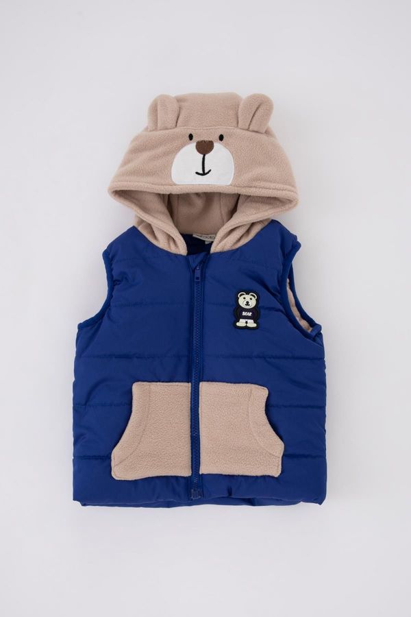 DEFACTO DEFACTO Baby Boy Fleece Lined Hooded Puffer Vest