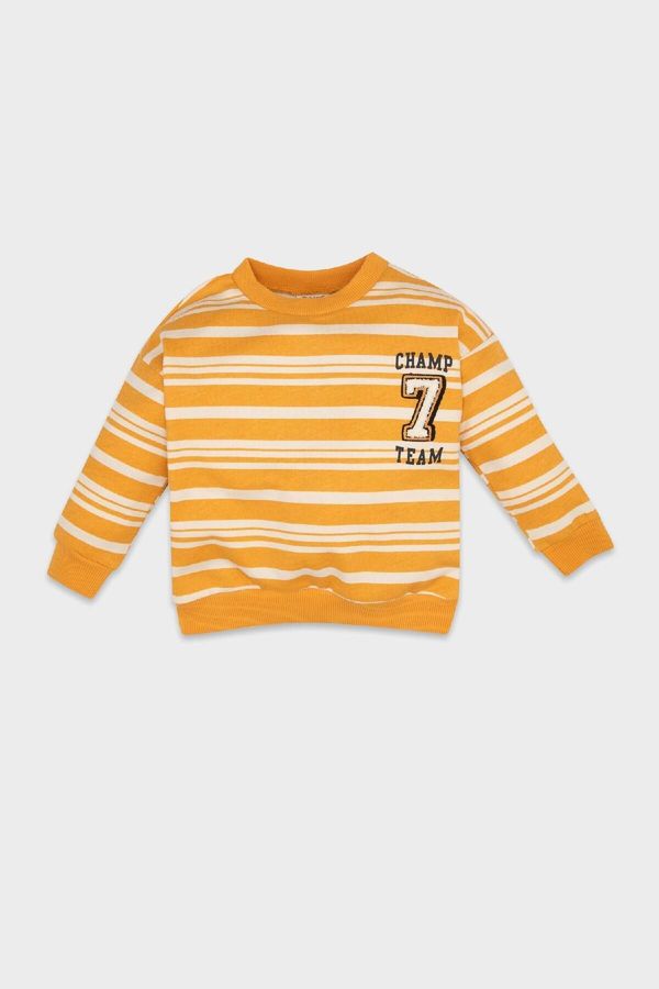 DEFACTO DEFACTO Baby Boy Orange Regular Fit Crew Neck Striped Soft Furry Thin Sweatshirt