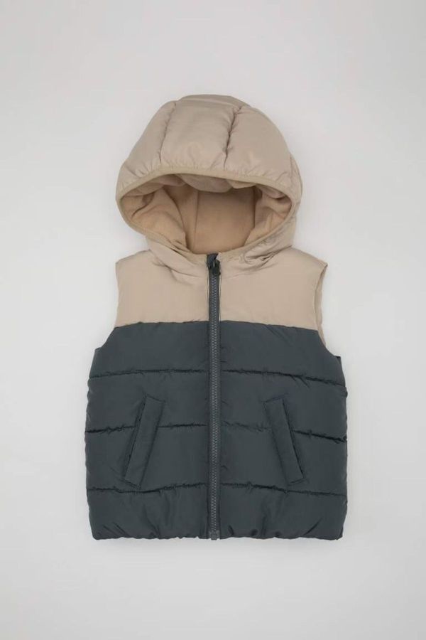 DEFACTO DEFACTO Baby Boy Water Repellent Fleece Lined Color Block Patterned Hooded Puffer Vest