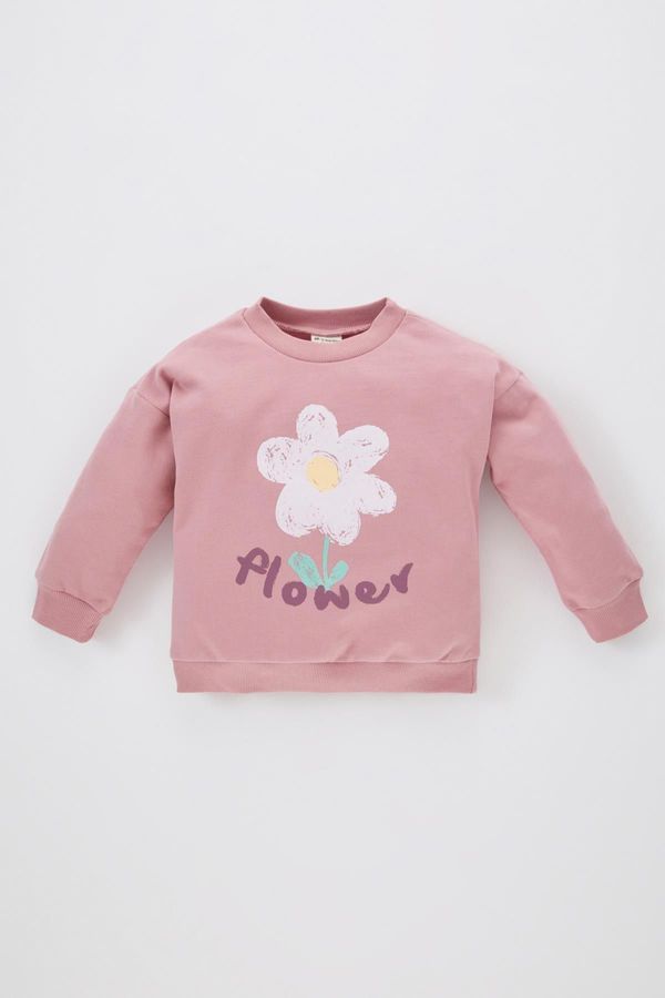 DEFACTO DEFACTO Baby Girl Crew Neck Floral Thin Sweatshirt with Soft Feather Inside