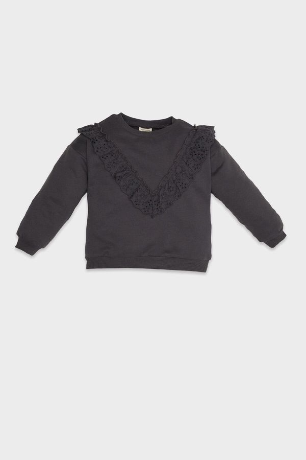 DEFACTO DEFACTO Baby Girl Crew Neck Soft Furry Sweatshirt