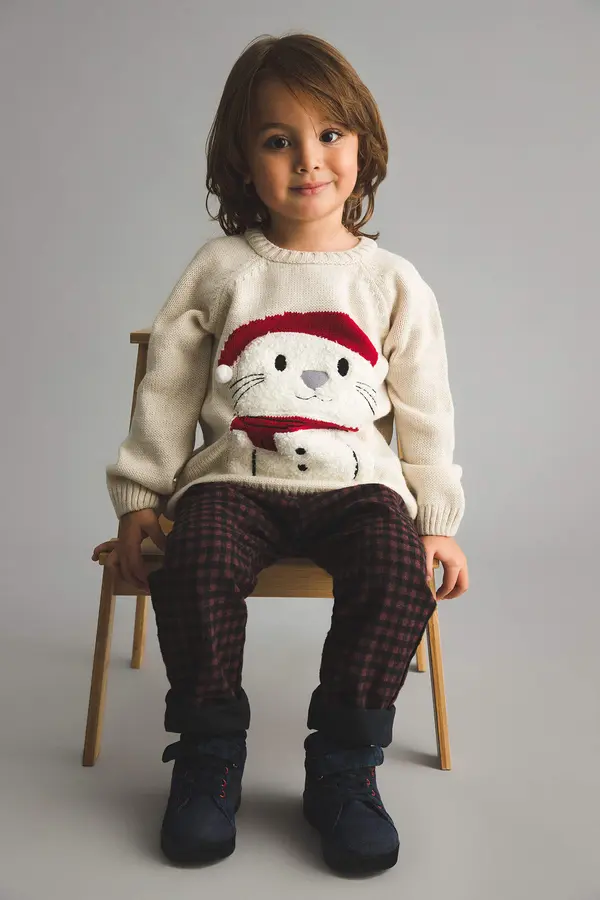 DEFACTO DEFACTO BabyBoy Regular Fit Crew Neck Pullover