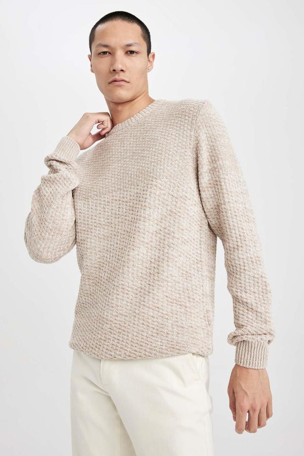 DEFACTO DEFACTO Beige Standard Fit Regular Cut Crew Neck Textured Knitwear Sweater