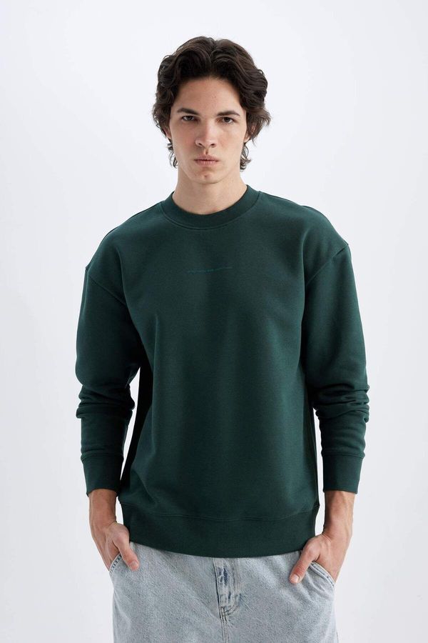 DEFACTO DEFACTO Boxy Fit Crew Neck Printed Sweatshirt