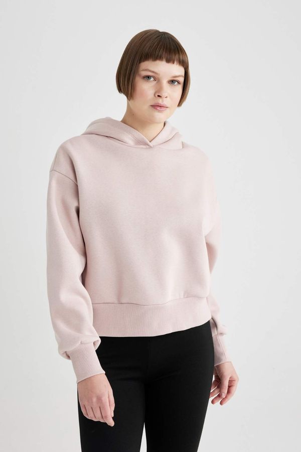 DEFACTO DEFACTO Boxy Fit Hooded Thick Sweatshirt Fabric Sweatshirt