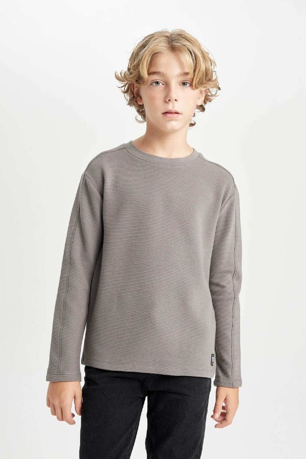 DEFACTO DEFACTO Boy Regular Fit Crew Neck Long Sleeve T-Shirt