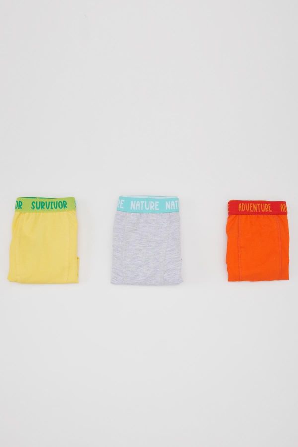 DEFACTO DEFACTO Boy's 3-piece Boxer