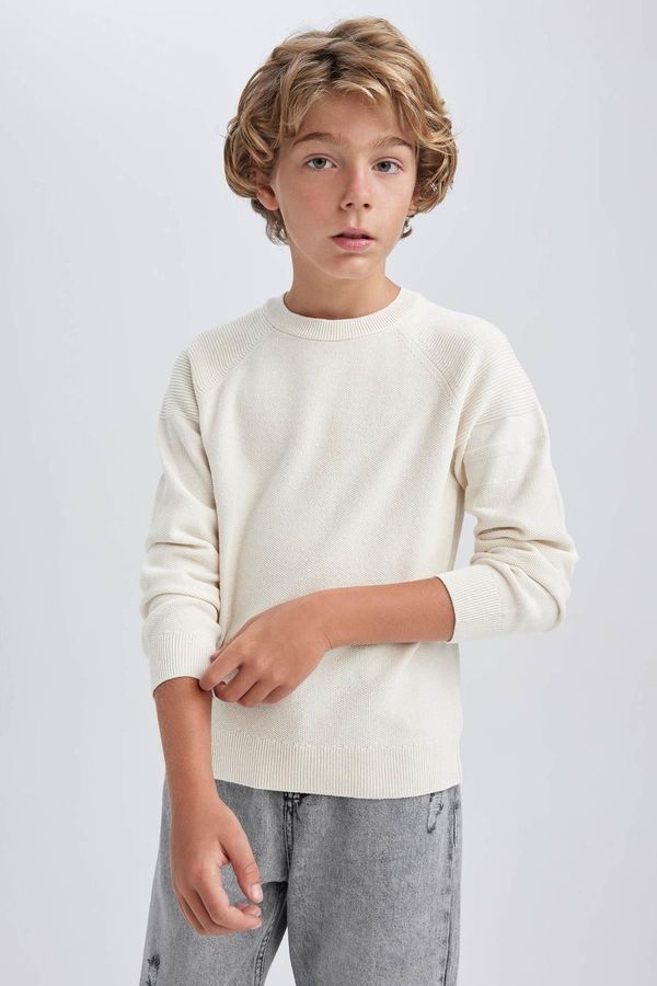 DEFACTO DEFACTO Boy's Crew Neck Cotton Sweater