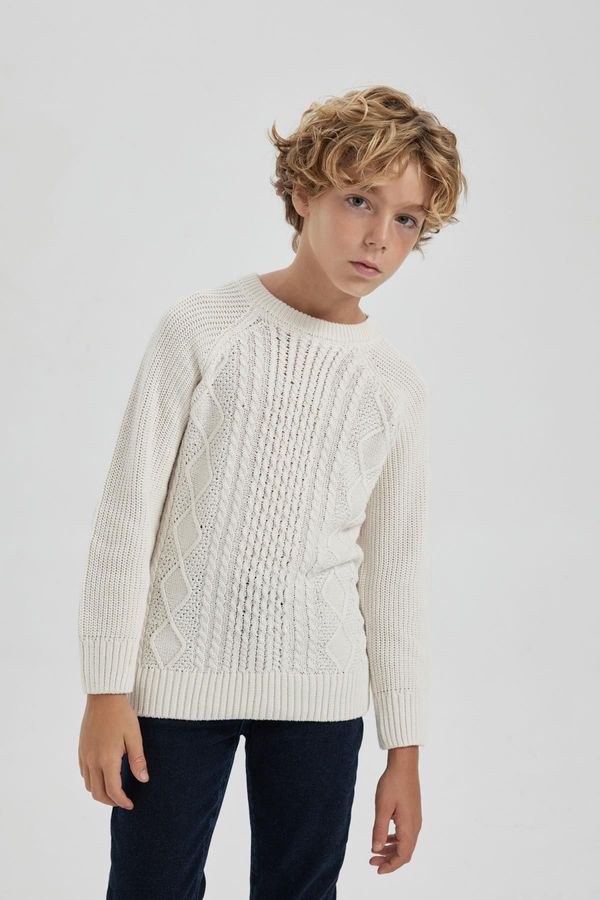 DEFACTO DEFACTO Boy's Crew Neck Knitwear Sweater