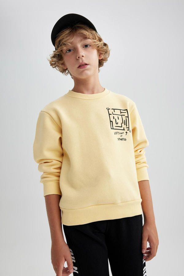 DEFACTO DEFACTO Boy's Crew Neck Printed Thick Sweatshirt