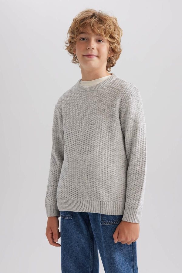 DEFACTO DEFACTO Boy's Crew Neck Sweater