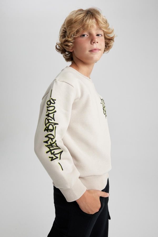 DEFACTO DEFACTO Boy's Crew Neck Sweatshirt