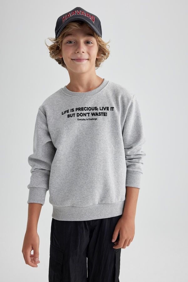 DEFACTO DEFACTO Boys' Crew Neck Thick Sweatshirt