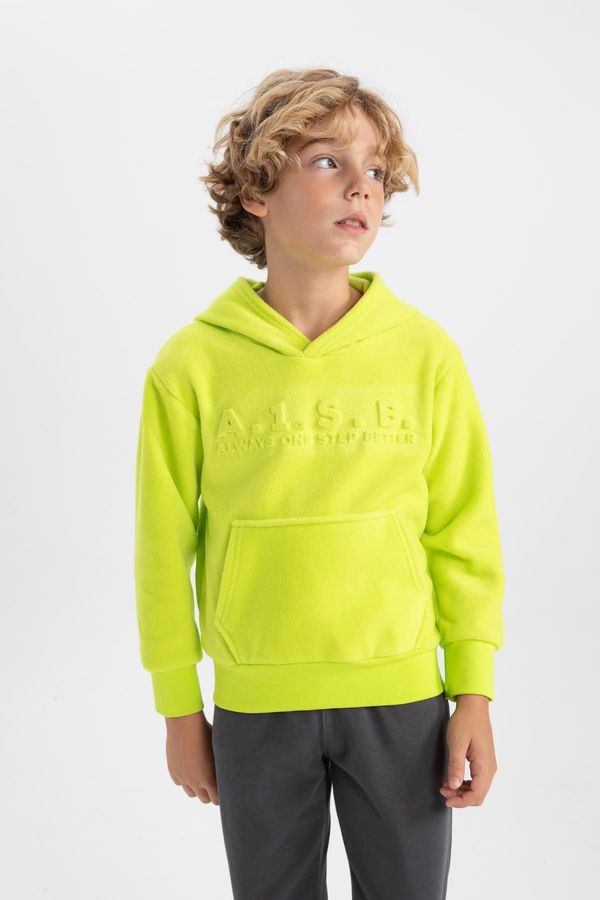 DEFACTO DEFACTO Boy's Hooded Fleece Sweatshirt