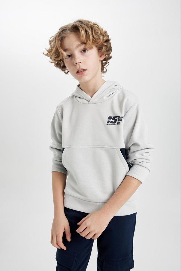 DEFACTO DEFACTO Boys' Hooded Printed Sweatshirt