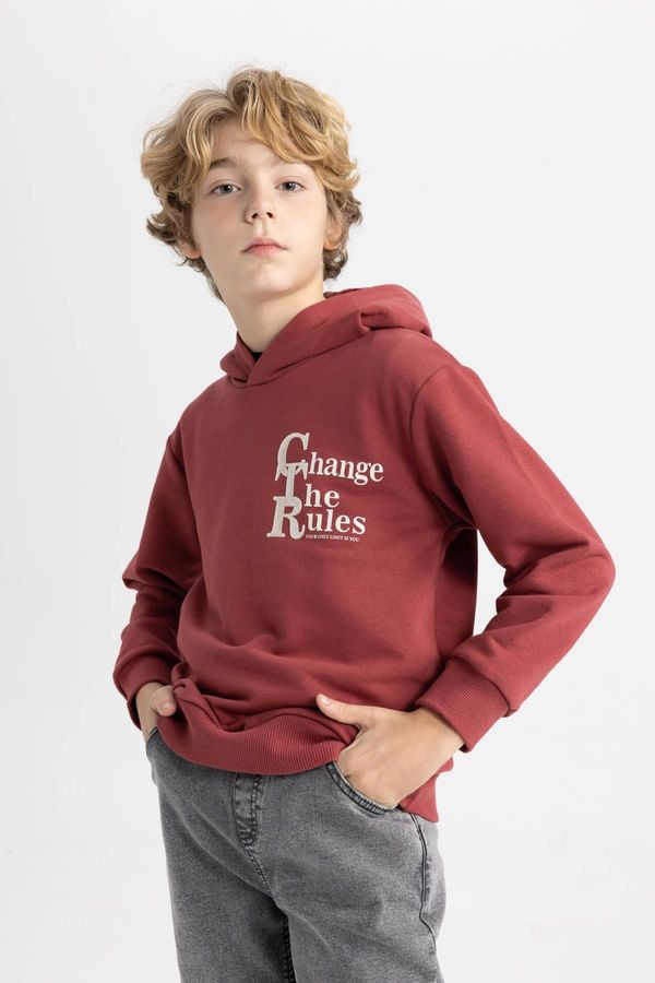 DEFACTO DEFACTO Boy's Hooded Printed Sweatshirt