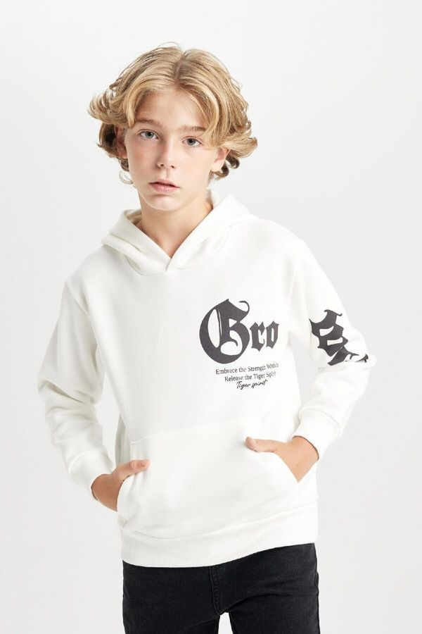 DEFACTO DEFACTO Boy's Hooded Printed Thick Sweatshirt