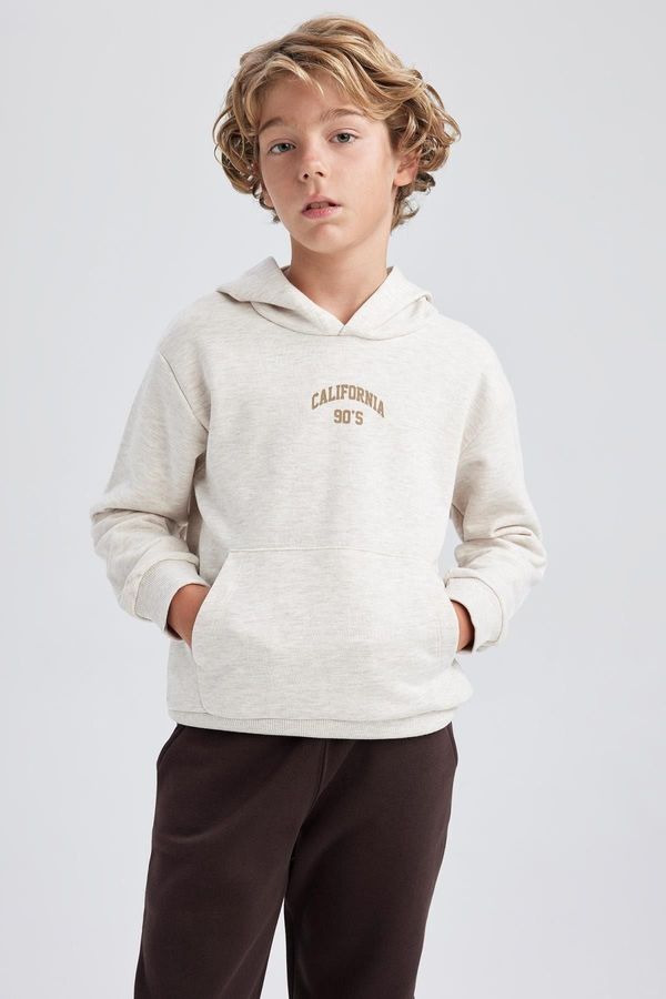 DEFACTO DEFACTO Boy's Hooded School Sweatshirt