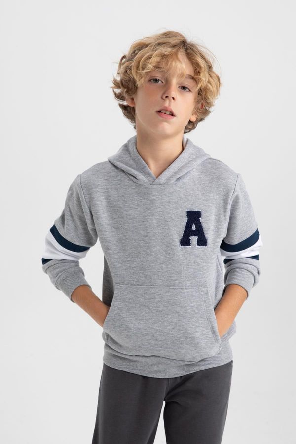 DEFACTO DEFACTO Boy's Hooded Thick Sweatshirt