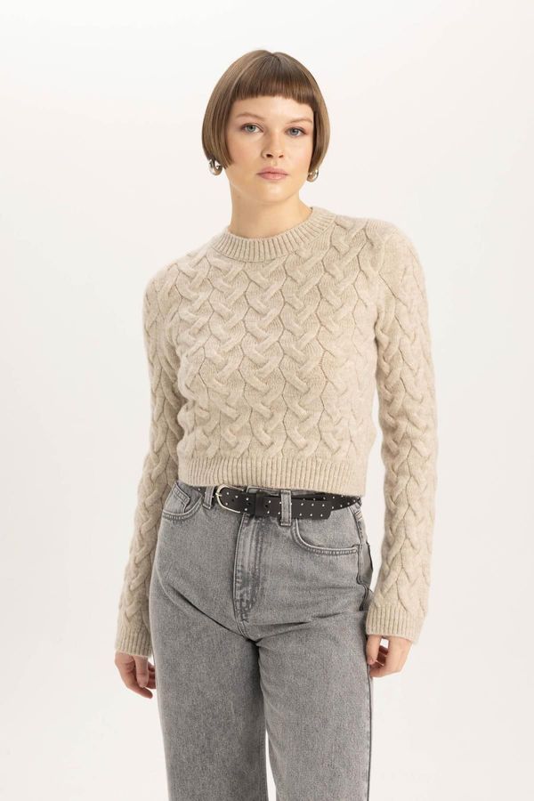 DEFACTO DEFACTO Crop Crew Neck Sweater