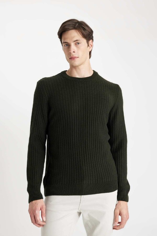 DEFACTO DEFACTO Men's Dark Green Standard Fit Regular Cut Crew Neck Jacquard Aviator Sweater