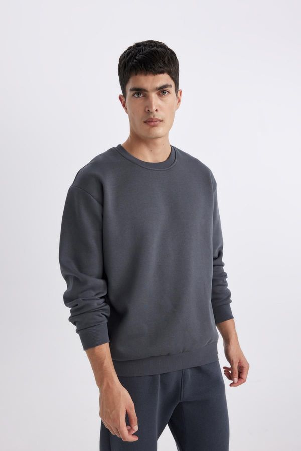 DEFACTO DEFACTO Oversize Fit Crew Neck Basic Sweatshirt