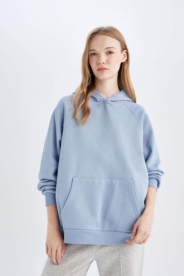 DEFACTO DEFACTO Oversize Fit Hooded Thick Fabric Sweatshirt