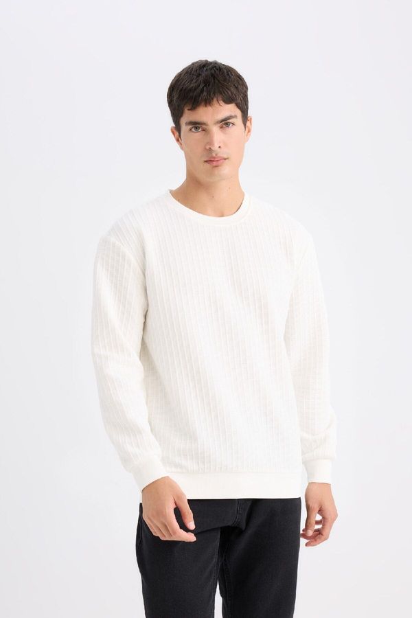 DEFACTO DEFACTO Regular Fit Crew Neck Jacquard Sweatshirt