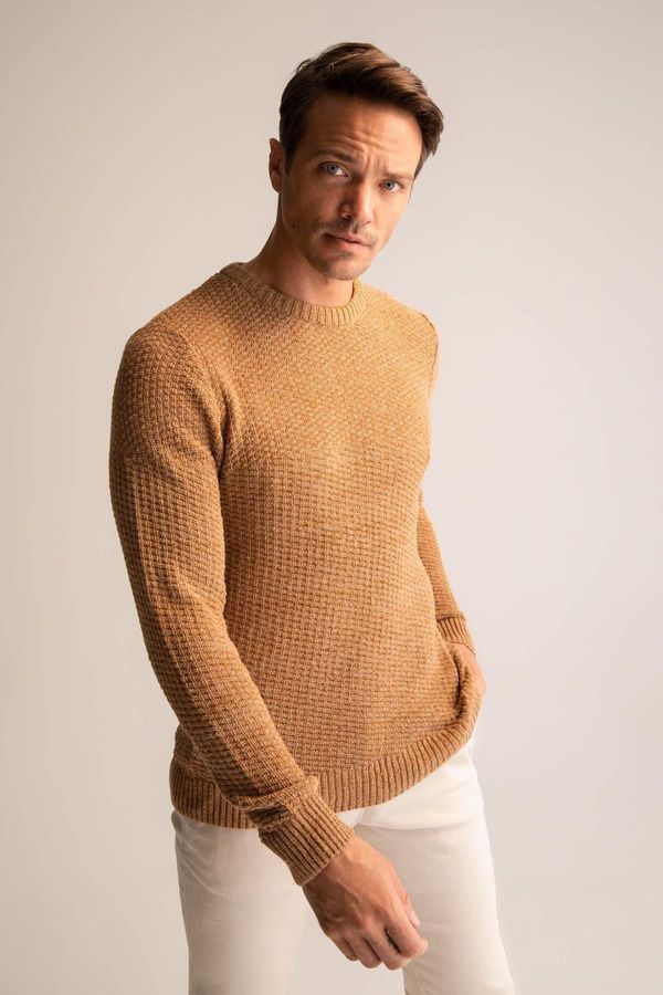 DEFACTO DEFACTO Regular Fit Crew Neck Knitwear Sweater