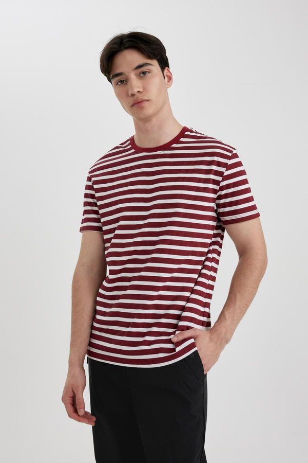 DEFACTO DEFACTO Regular Fit Crew Neck Striped Top