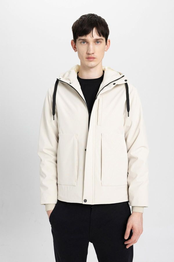 DEFACTO DEFACTO Regular Fit Hooded Coat