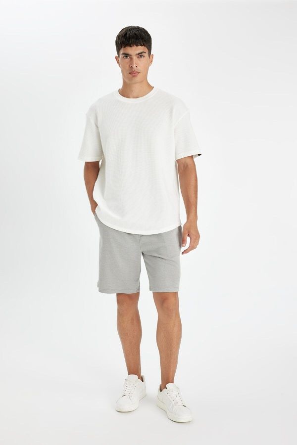 DEFACTO DEFACTO Regular Fit Shorts