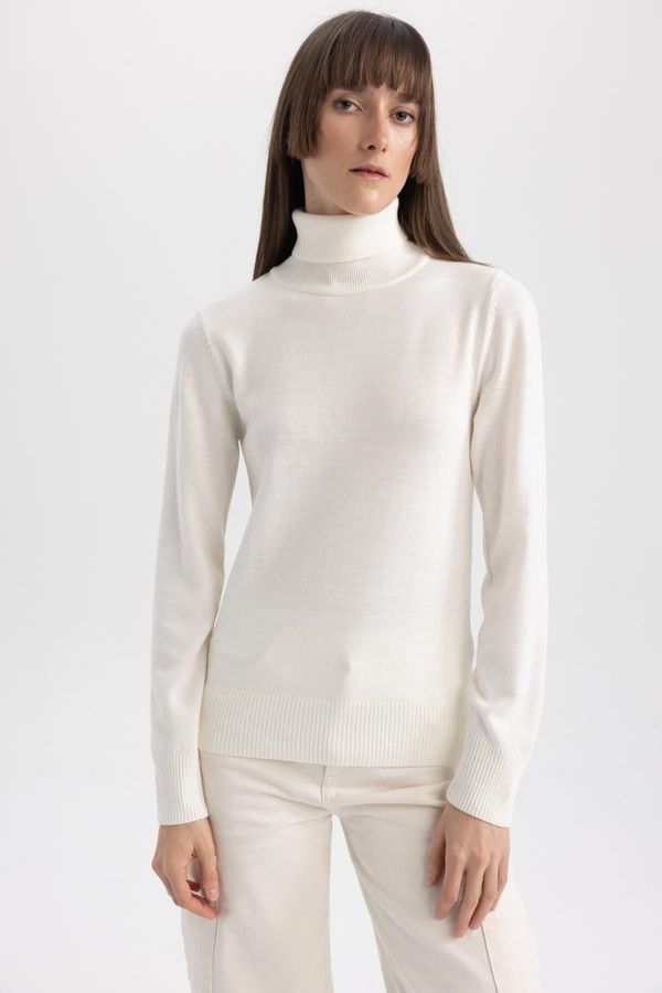 DEFACTO DEFACTO Regular Fit Turtleneck Basic Sweater