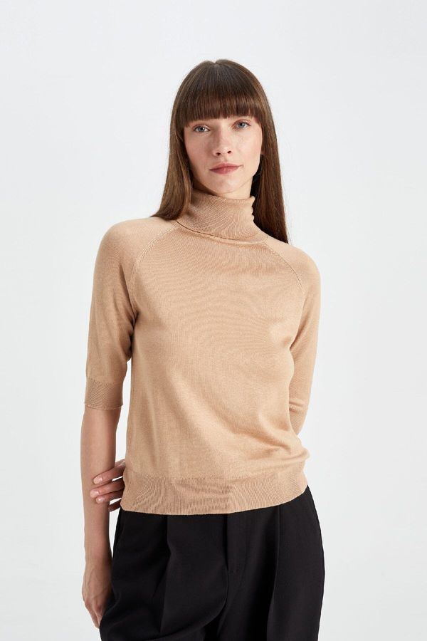 DEFACTO DEFACTO Regular Fit Turtleneck Sweater U8280AZ24AU