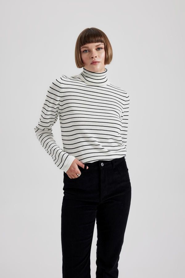 DEFACTO DEFACTO Regular Fit Turtleneck Sweater