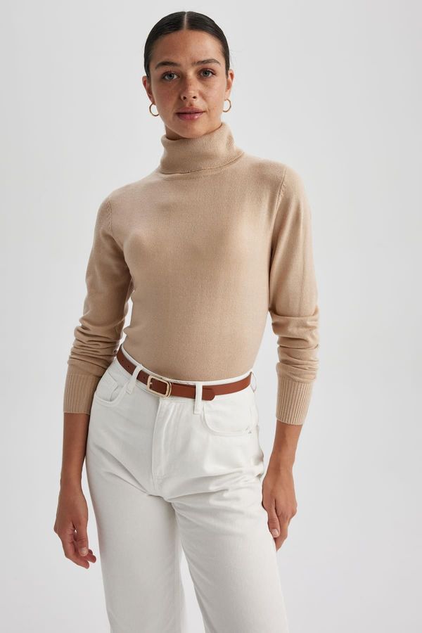 DEFACTO DEFACTO Regular Fit Turtleneck Sweater