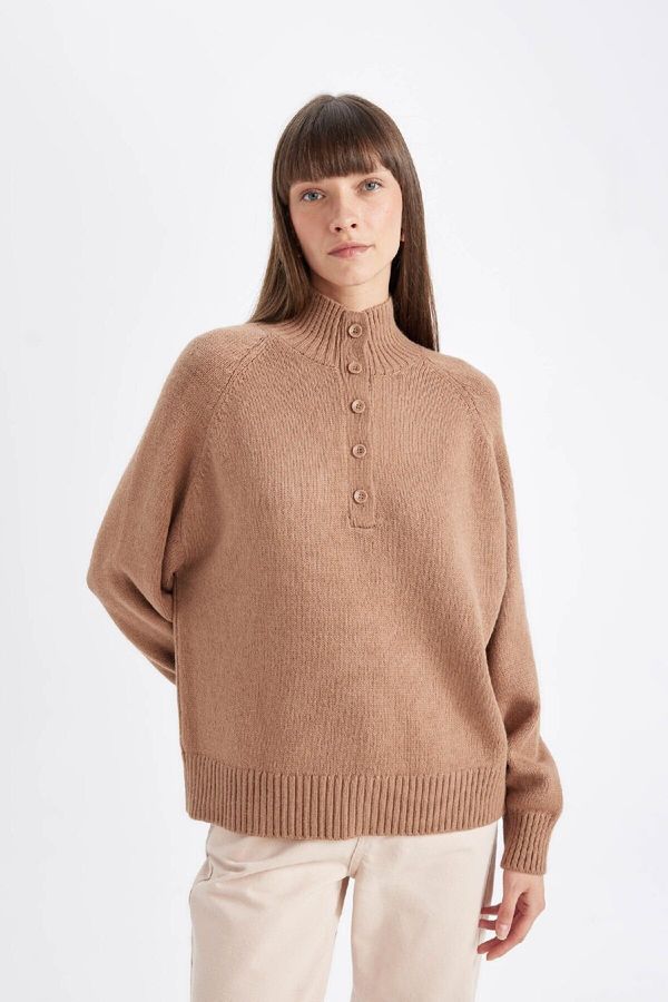 DEFACTO DEFACTO Relax Fit Button-down Collar Sweater