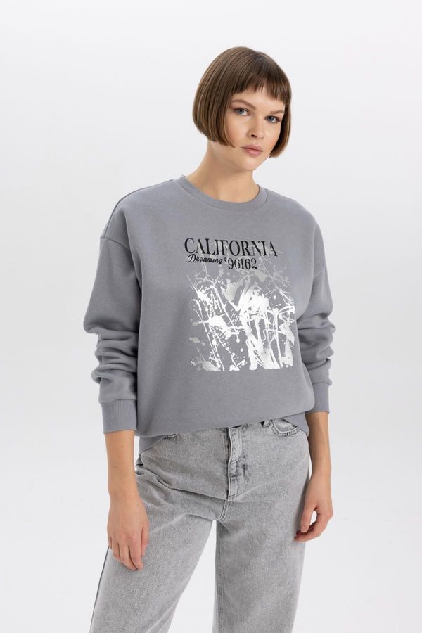 DEFACTO DEFACTO Relax Fit Crew Neck Thick Sweatshirt