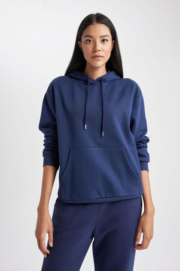 DEFACTO DEFACTO Relax Fit Hooded Thick Sweatshirt