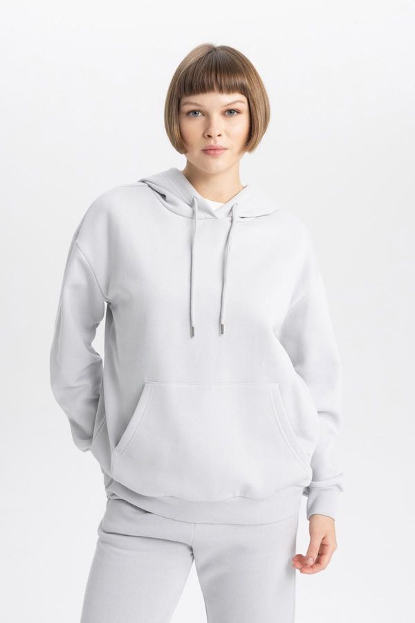 DEFACTO DEFACTO Relax Fit Hooded Thick Sweatshirt