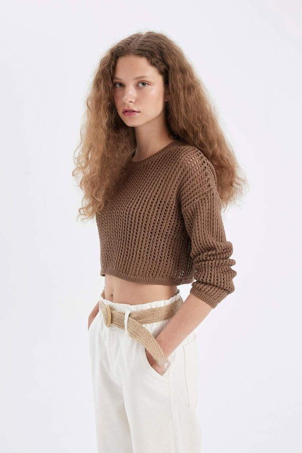 DEFACTO DEFACTO Relax Fit Knit Detail Crop Knitwear Sweater